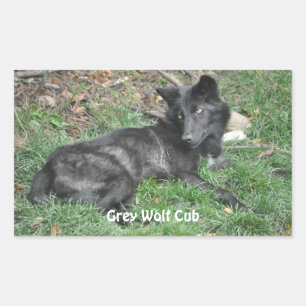 GRAY WOLF CUB Wildlife Supporter Stickers