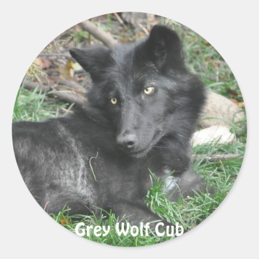 GRAY WOLF CUB Wildlife Supporter Stickers (Vorderseite)