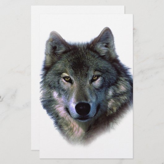 Gray Wolf Eyes Briefpapier (Vorne/Hinten)