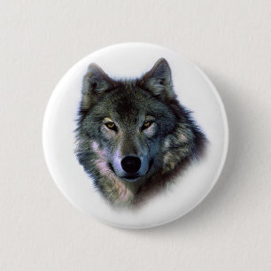 Gray Wolf Eyes Button