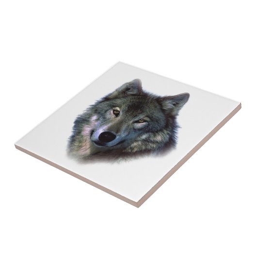 Gray Wolf Eyes Fliese (Seite)
