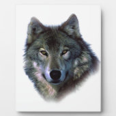 Gray Wolf Eyes Fotoplatte (Vorderseite)
