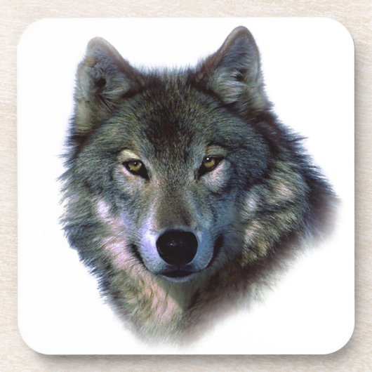 Gray Wolf Eyes Getränkeuntersetzer (Vorderseite)