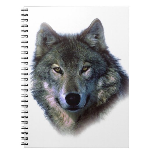 Gray Wolf Eyes Notizblock (Vorderseite)