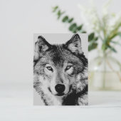 Gray Wolf Eyes Postcard Postkarte (Stehend Vorderseite)