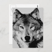 Gray Wolf Eyes Postcard Postkarte (Vorne/Hinten)