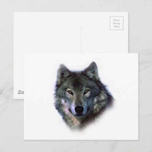 Gray Wolf Eyes Postkarte (Vorne/Hinten)