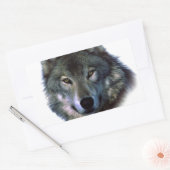 Gray Wolf Eyes Rechteckiger Aufkleber (Umschlag)