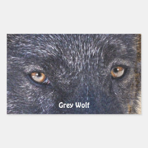 GRAY WOLF EYES Wildlife Supporter Stickers