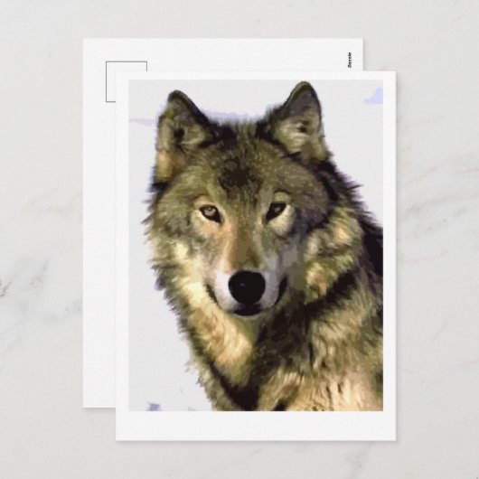 Gray Wolf Feiertagspostkarte (Vorne/Hinten)