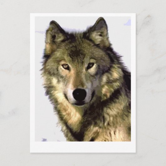 Gray Wolf Feiertagspostkarte (Vorderseite)