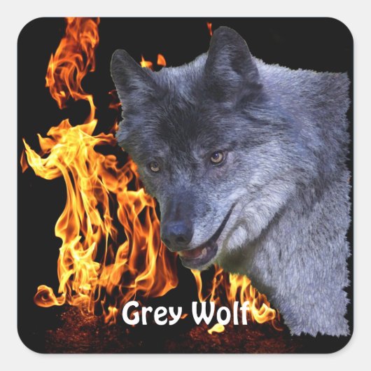 GRAY WOLF & FOREST FIRE Wildlife Supporter Quadratischer Aufkleber (Vorderseite)