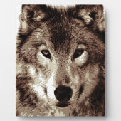 Gray Wolf Fotoplatte (Vorderseite)
