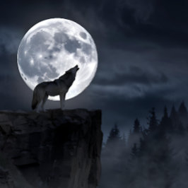 Gray Wolf Full Moon Silhouette Puzzle