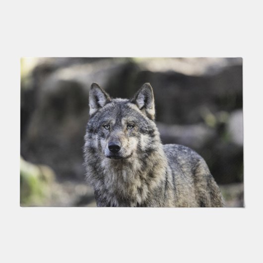 Gray Wolf Fußmatte (Vorderseite)
