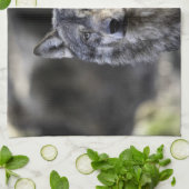 Gray Wolf Geschirrtuch (Gefaltet)