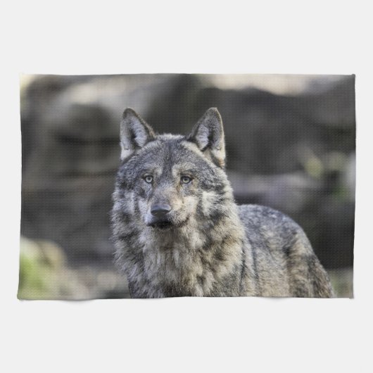 Gray Wolf Geschirrtuch (Horizontal)