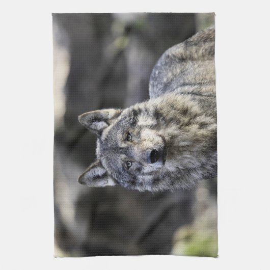 Gray Wolf Geschirrtuch (Vertikal)