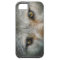 Gray Wolf Golden Eyes Wildlife Geschenk