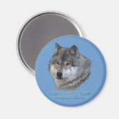 GRAY WOLF HEAD Magnet (Vorderseite/Rückseite)
