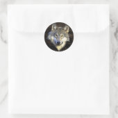 Gray Wolf Head Nature Canine Art Runder Aufkleber (Tasche)