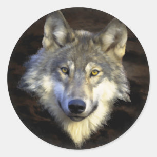 Gray Wolf Head Nature Canine Art Runder Aufkleber