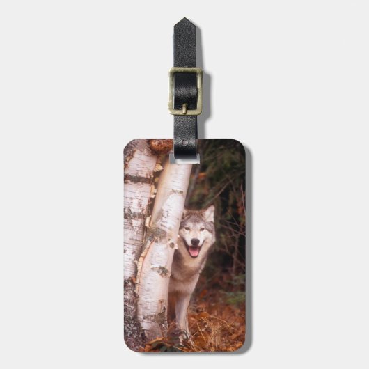 Gray Wolf Hinter einem Baum Gepäckanhänger (Vorderseite vertikal)