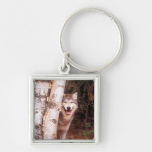 Gray Wolf Hinter einem Baum Schlüsselanhänger