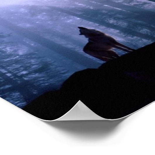 Gray Wolf Howling in der Morgendämmerung Poster (Ecke)