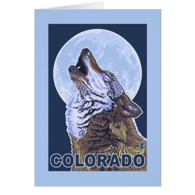 Gray Wolf HowlingColorado (Vorne)
