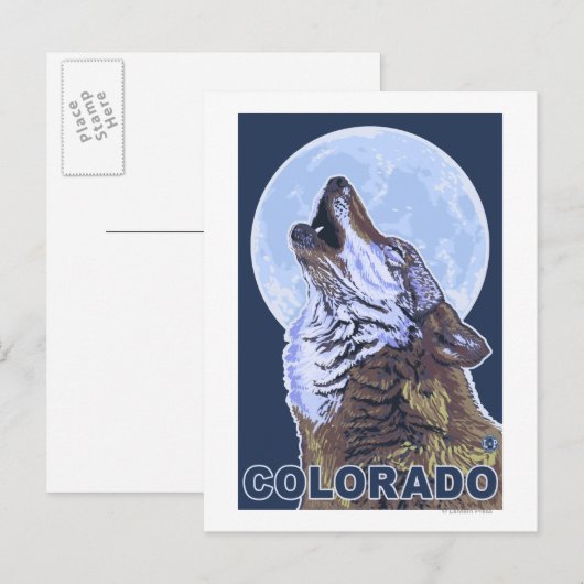 Gray Wolf HowlingColorado Postkarte (Vorne/Hinten)