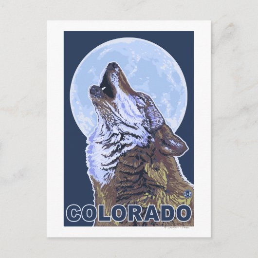 Gray Wolf HowlingColorado Postkarte (Vorderseite)