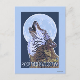 Gray Wolf HowlingSouth Dakota Postkarte