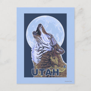 Gray Wolf HowlingUtah Postkarte