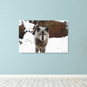 Gray Wolf im Schnee Leinwanddruck (Insitu (Holzboden))