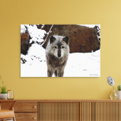 Gray Wolf im Schnee Leinwanddruck (Insitu (Wohnzimmer))