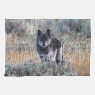 Gray Wolf in Yellowstone Küche Geschirr Handtuch