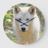 Gray Wolf, kanadische Tierfotografie Große Wanduhr (Vorderseite)