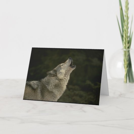 Gray Wolf Karte (Vorderseite)