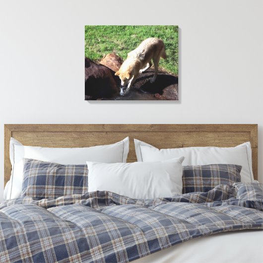 Gray Wolf Leinwand (Insitu (Schlafzimmer))