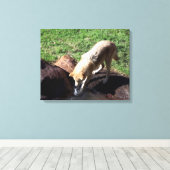 Gray Wolf Leinwand (Insitu (Holzboden))