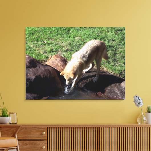 Gray Wolf Leinwand (Insitu (Wohnzimmer))
