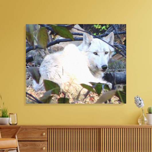 Gray Wolf Leinwand (Insitu (Wohnzimmer))