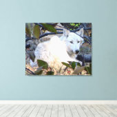 Gray Wolf Leinwand (Insitu (Holzboden))