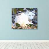Gray Wolf Leinwand (Insitu (Holzboden))