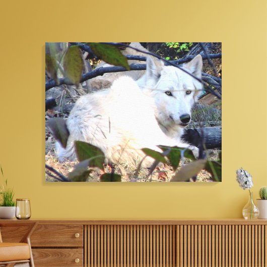 Gray Wolf Leinwand (Insitu (Wohnzimmer))