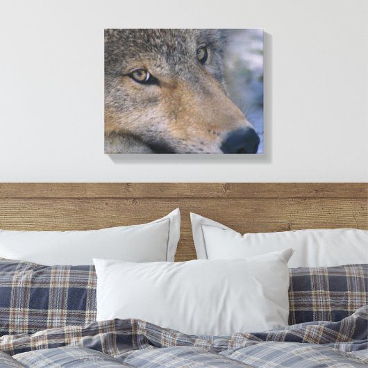 Gray Wolf Lovers Leinwanddruck (Insitu (Schlafzimmer))