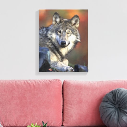 Gray Wolf Lovers Leinwanddruck (Insitu (Wohnzimmer))