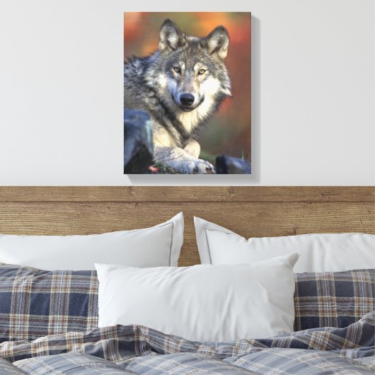 Gray Wolf Lovers Leinwanddruck (Insitu (Schlafzimmer))