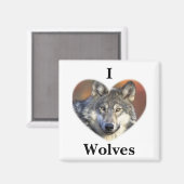 Gray Wolf Magnet (Vorderseite/Rückseite)
